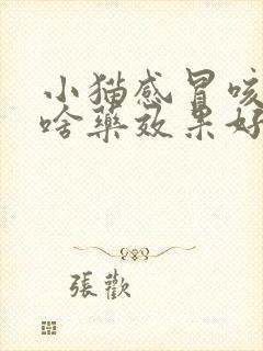 小猫感冒咳嗽吃啥药效果好