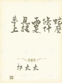 梦见两条蛇在身上爬是什么预兆