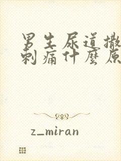 男生尿道撒尿有刺痛什么原因