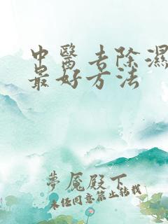 中医去除湿气的最好方法