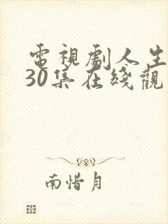 电视剧人生之路30集在线观看免费