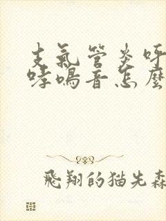 支气管炎呼吸有哮鸣音怎么办