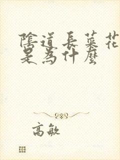 阴道长菜花状疣是为什么