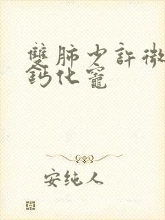 双肺少许微结节钙化灶