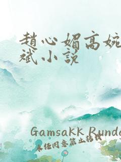 赵心媚高婉君陈斌小说