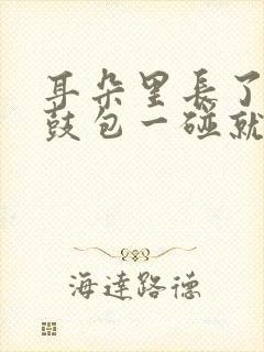 耳朵里长了个小鼓包一碰就疼怎么回事