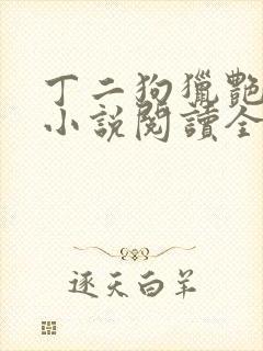 丁二狗猎艳人生小说阅读全文