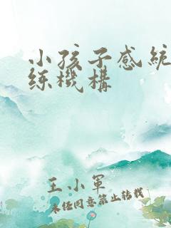 小孩子感统的训练机构