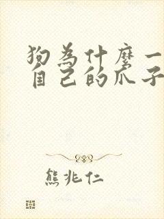 狗为什么一直舔自己的爪子