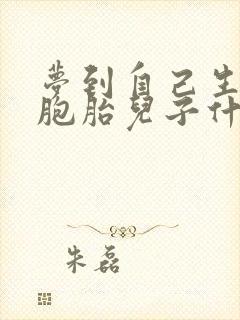 梦到自己生了双胞胎儿子什么意思