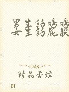 男生的鸡鸡插入女生的屁股里