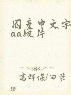 国产中文字幕aaa级片