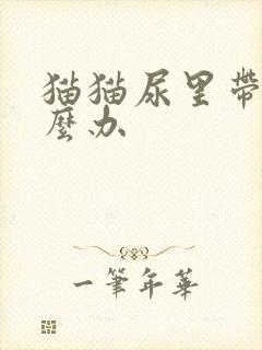 猫猫尿里带血怎么办