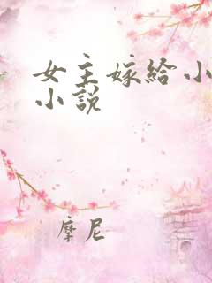 女主嫁给小叔的小说
