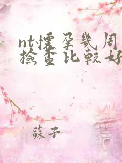 nt怀孕几周去检查比较好