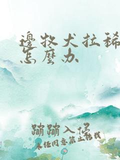 边牧犬拉稀带血怎么办