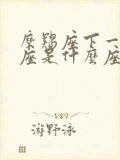 摩羯座下一个星座是什么座