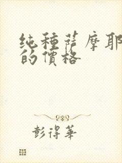 纯种萨摩耶犬狗的价格