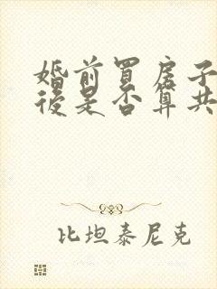 婚前买房子结婚后是否算共有财产