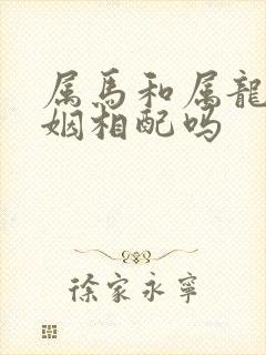 属马和属龙的婚姻相配吗