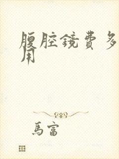 腹腔镜费多少费用