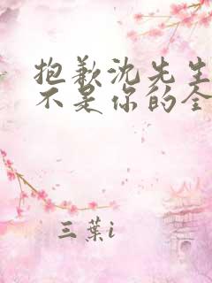 抱歉沈先生孩子不是你的全集免费