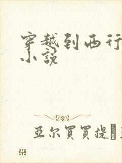 穿越到西行纪的小说