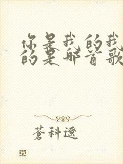 你是我的我是你的是哪首歌的歌词