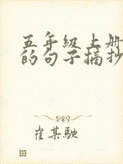 五年级上册优美的句子摘抄