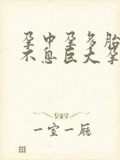 孕中孕多胎生生不息巨大孕肚