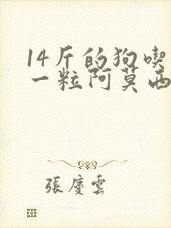 14斤的狗吃了一粒阿莫西林