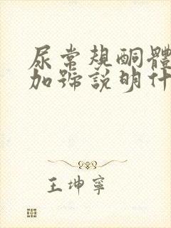 尿常规酮体1个加号说明什么