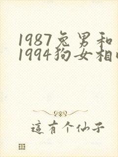 1987兔男和1994狗女相配吗