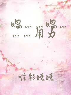 嗯……嗯……啊……用力