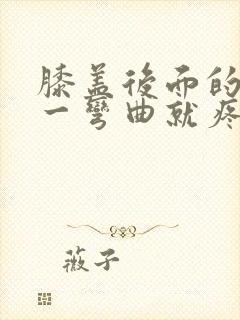 膝盖后面的腿窝一弯曲就疼