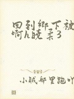 回到乡下被h嗯啊h晓柔3