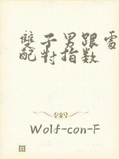 双子男跟处女女配对指数