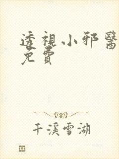 透视小邪医小说免费