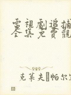 电视剧追捕二王全集免费观看