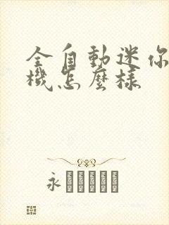 全自动迷你洗衣机怎么样