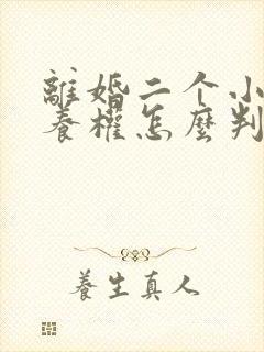 离婚二个小孩抚养权怎么判