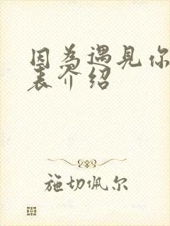 因为遇见你演员表介绍