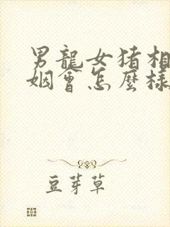 男龙女猪相配婚姻会怎么样