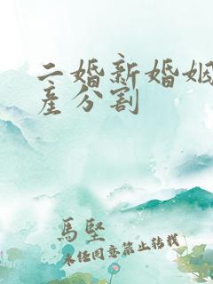 二婚新婚姻法房产分割