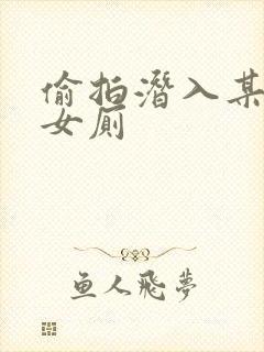 偷拍潜入某学校女厕