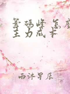 筹码峰 怎么看主力成本