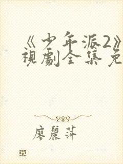 《少年派2》电视剧全集免费