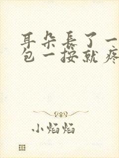 耳朵长了一个小包一按就疼