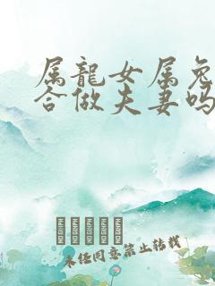 属龙女属兔男适合做夫妻吗