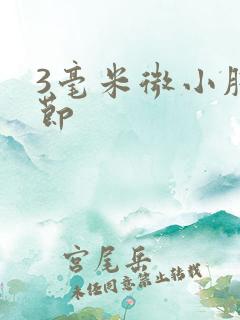 3毫米微小肺结节